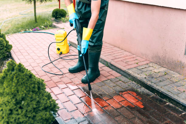 Best Dumpster Area Cleaning  in West Ack, NY